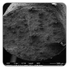 觀察試件破斷處